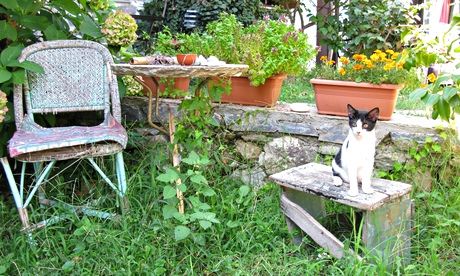 Let your garden grow … 