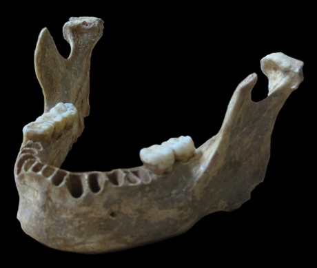 40,000-year-old modern human jawbone from the cave Peștera cu Oase in Romania 