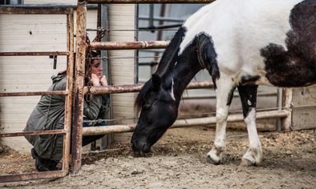 horse therapy sarah smith california