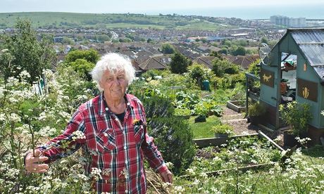 John Jeffry, Carers Centre allotment, Brighton