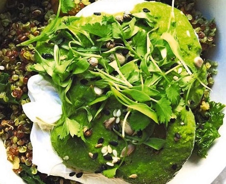 dish by wellness blogger calgary avansino