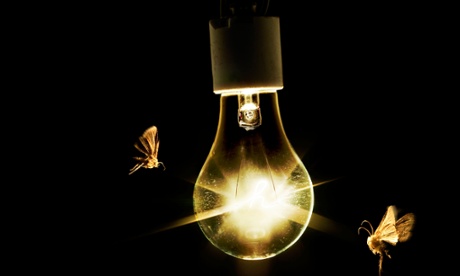 Moth light