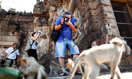 tourists photograph monkeys