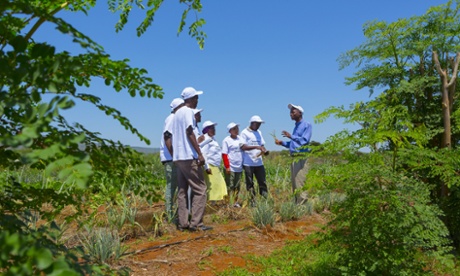 the power of principles