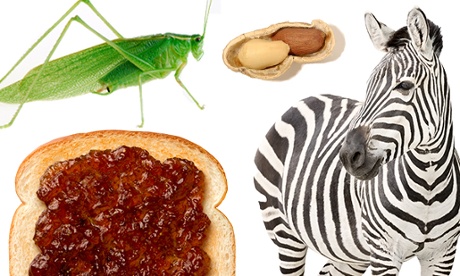 Oh, the possibilities ... the Bocusini 3D food printer.