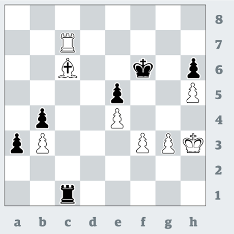 Chess 3396