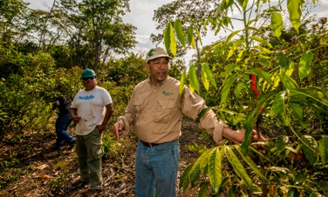 The Rainforest Alliance’s José Román Carrera, at right, says: “If we want people and the planet to prosper together, we can’t get depressed. We don’t have time.”
