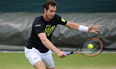 andy murray