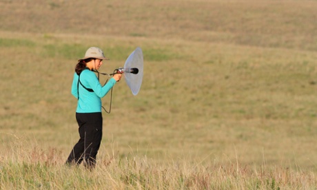 Tayler recording birdsong