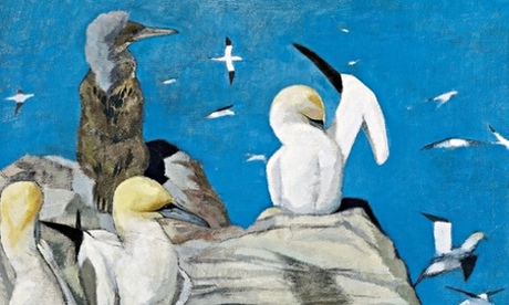 Gannets by John Busby