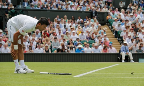 Novak Djokovic talks to the bird.