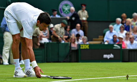 Novak Djokovic meets the bird