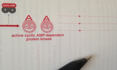 LGBT scientists face particular challenges in their careers