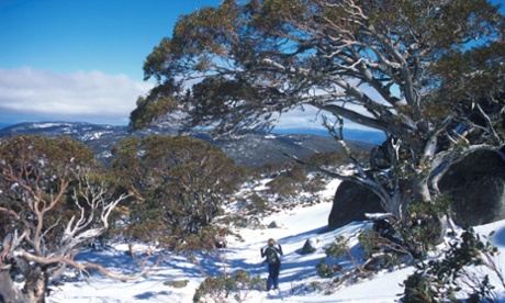 Skiing at Thredbo can be done on a budget. 