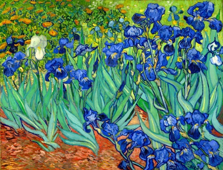 'I will enjoy them en masse, like the Van Gogh painting, with one jostled against the next': Irises by Vincent van Gogh (1889).