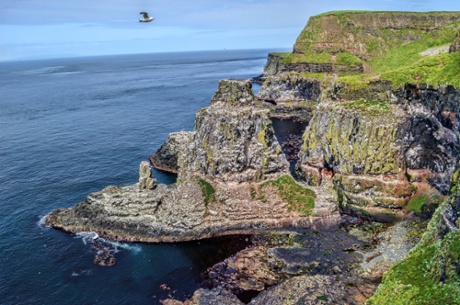 Puffin Colony at Rathlin Island.