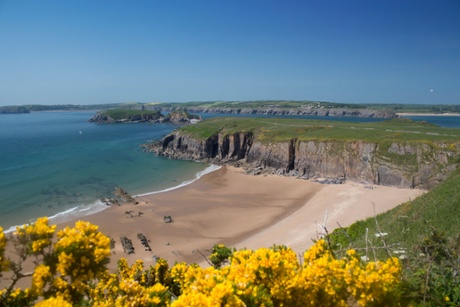 Sandtop Bay beach with yellow gorse flowers.