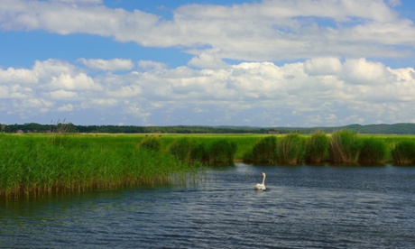 The island is situated south of the village Przytór, in between the river arms Gęsia and Kacza.