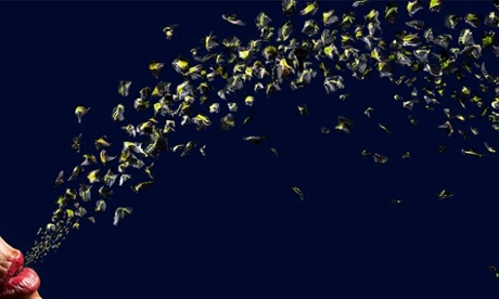 Julie Rrap, Remaking the world #1, 2015, Digital print 150 x 450 cm, collection of the artist. 