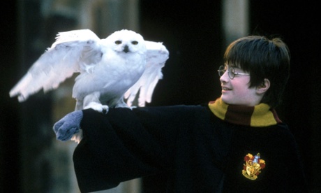 Harry Potter and Hedwig