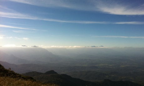 CAPTIONThis is a view of the sky islands found in the south of the Brazilian Atlantic Forest where species of Brachycephalus, miniaturized frog,  are found.