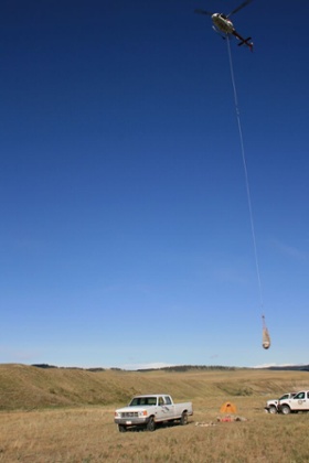 Part of the skull being lifted by helicopter away from the excavation site.