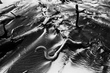 Australia. Queensland. Fraser Island. 2003.