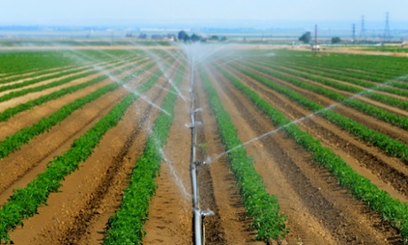 Ammonia produced by the Haber-Bosch process can be used as crop fertiliser.