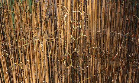 Kendrew's myoglobin model buried in a forest of rods