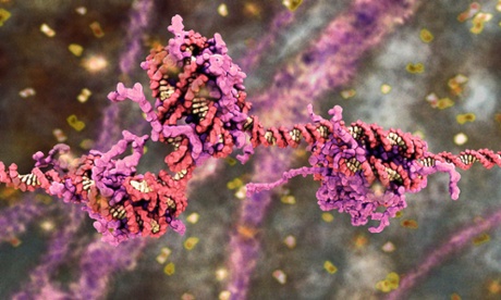 Computer generated images of nucleosomes