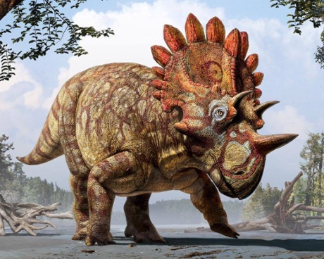 Regaliceratops