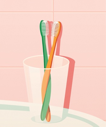 Toothbrushes cohabiting illustration
