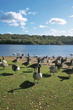 Ruislip Lido