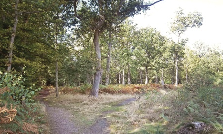 The Three Commons trail in Bromley