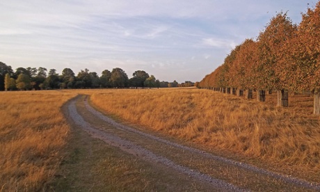 Home Park (Hampton Court)
