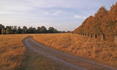 Home Park, in Hampton Court: one of London’s hidden gems