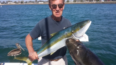 Sea lion man dan darlin