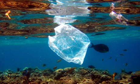 More than 8 million tonnes of plastic rubbish end up in the ocean every year