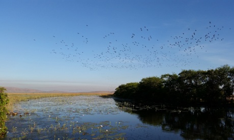 The hidden body of water, with its extraordinary new species.