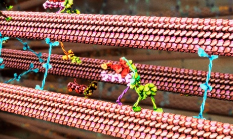 Molecular motors dynein and kinesin carrying their cargo along microtubular tracks