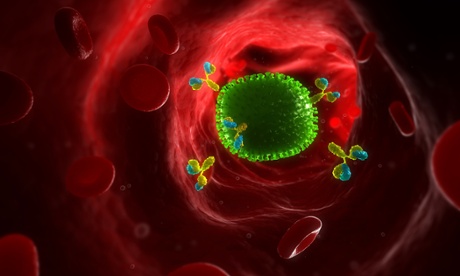 Antibodies attacking flu virus, artwork
