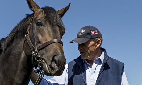 Golden Horn with John Gosden at Clarehaven Stables in Newmarket the morning after the Epsom Derby