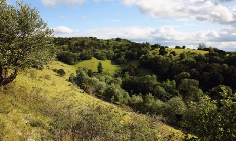 Box Hill - fortunately part of the view rather than the race course of the Dorking 10 ... 