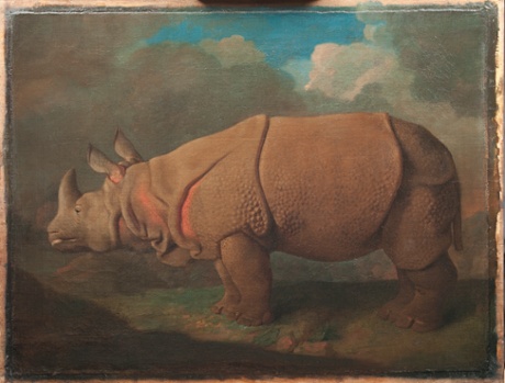 Rhinoceros, 1790