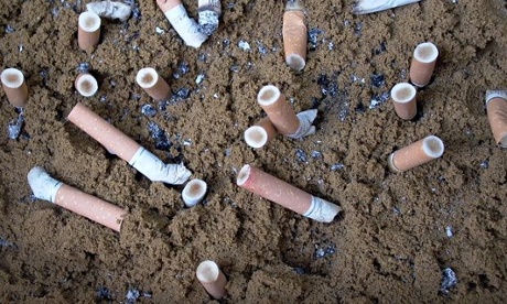 Cigarette butts