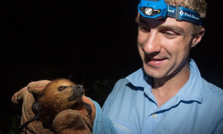 Edward Ellis, a student on the Durrell Indian Ocean Post Graduate Diploma Course in Endangered Species Recovery, holds a Mauritius fruit bat 