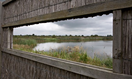 An RSPB reserve