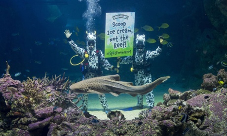 Ben & Jerry's cow-divers Great Barrier Reef