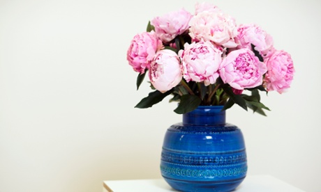 Flowers at the Paul Smith offices