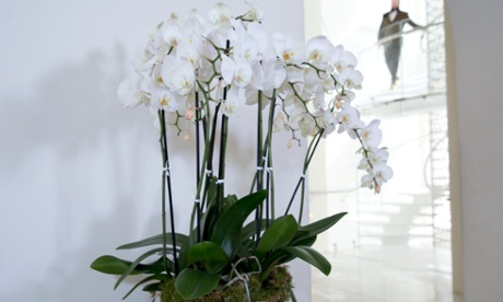 Floral arrangements at the British Fashion Council